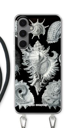 Haeckel Prosobranchia