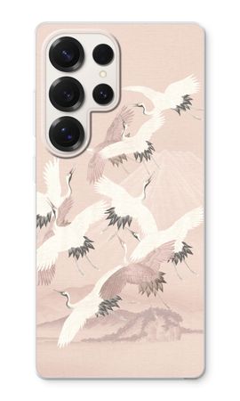 Japanische Kranichvögel