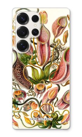 Haeckel Nepenthaceae