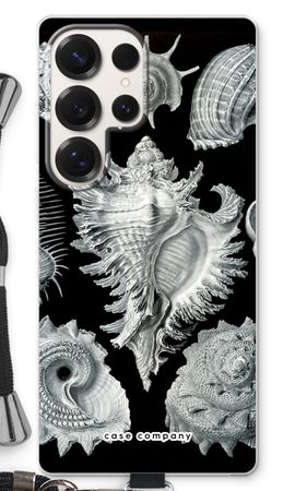 Haeckel Prosobranchia