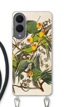 Carolina Parrot