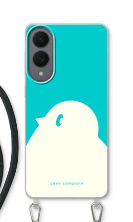 BIG Robin 2