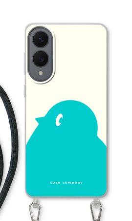 BIG Robin 1