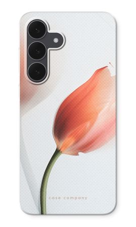 Tulip