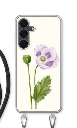 Purple poppy