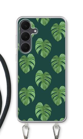 Monstera leaves