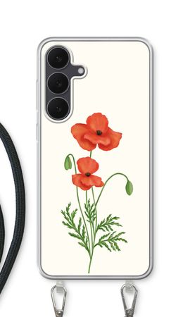 Red poppy