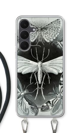Haeckel Tineida