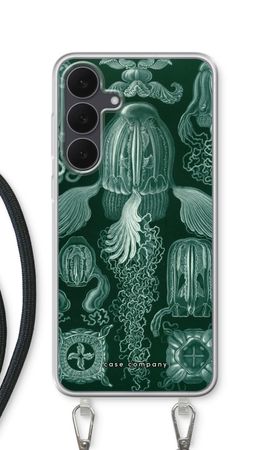 Haeckel Cubomedusae