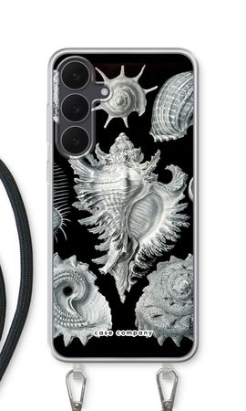 Haeckel Prosobranchia