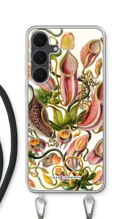 Haeckel Nepenthaceae