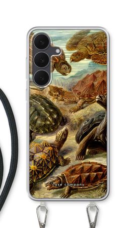 Haeckel Chelonia