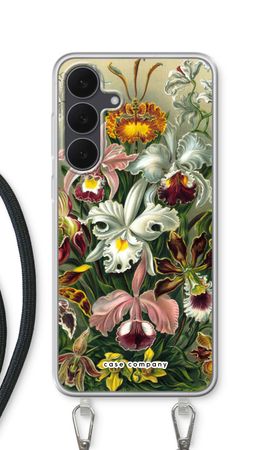 Haeckel Orchidae