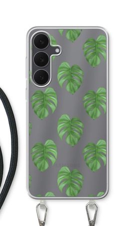 Monstera leaves