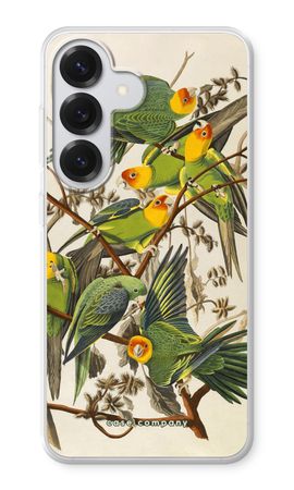 Carolina Parrot