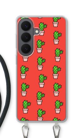 Mini cactus