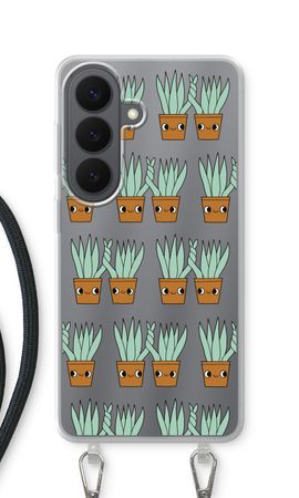 Sansevieria
