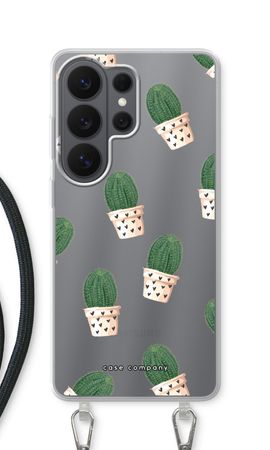 Cactus rose