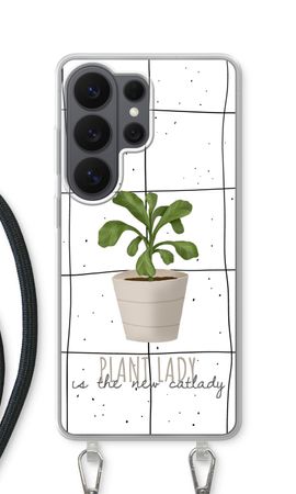 Houseplant on windowpane