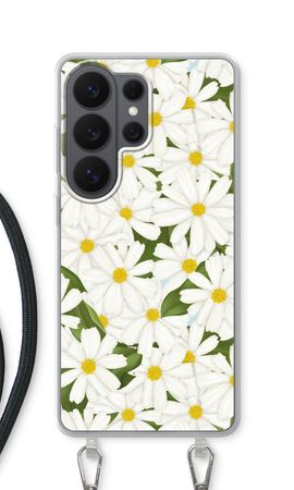 Summer Daisies