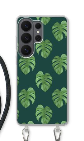 Monstera leaves