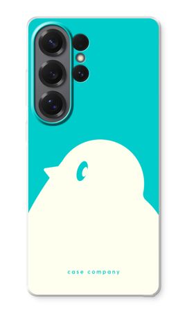 BIG Robin 2