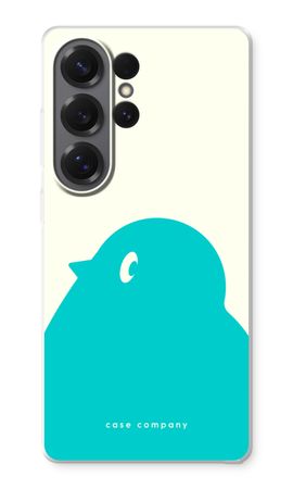 BIG Robin 1