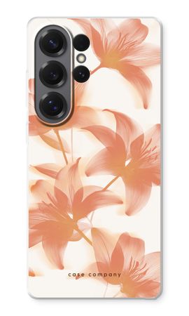 Peach Lilly