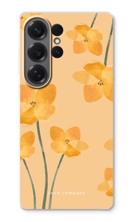 Sunlit bloom