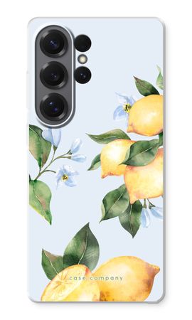 Orchard Sun