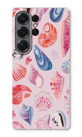 Cute Shells