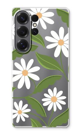 Daisies All Over