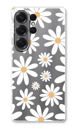 Daisies Again