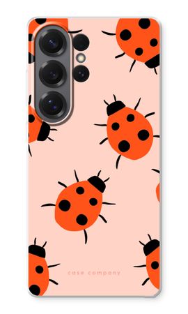 Ladybugs