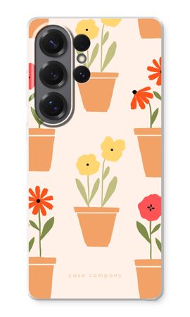 Flower Pots
