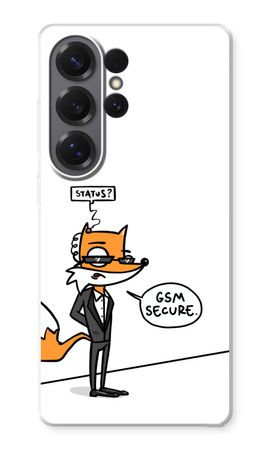 GSM secure