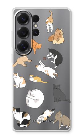 Katten