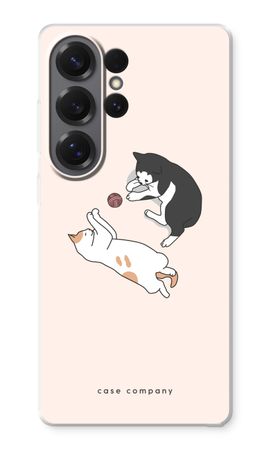 Spelende katten