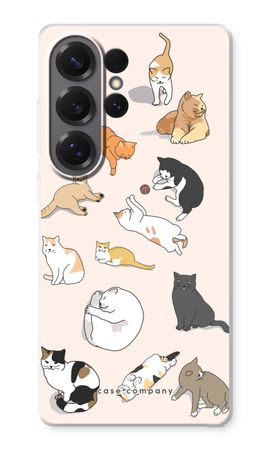 Katten