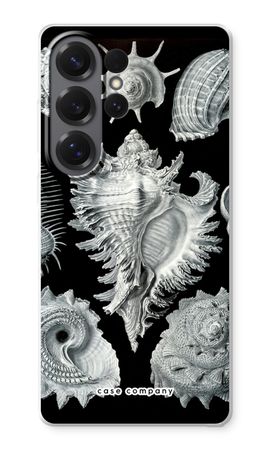 Haeckel Prosobranchia