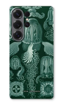 Haeckel Cubomedusae