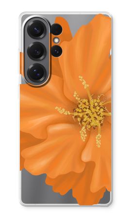 Orange Ellila flower
