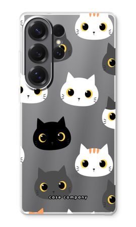 Cats