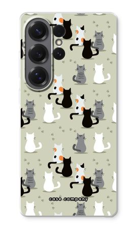 Cats