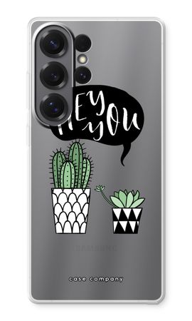 Hey you cactus