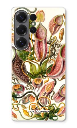 Haeckel Nepenthaceae