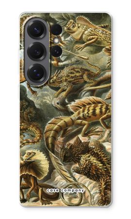 Haeckel Lacertilia