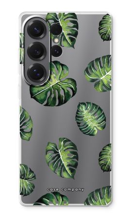 Tropical leaves