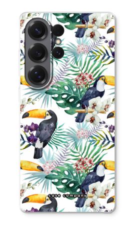 Tucanes