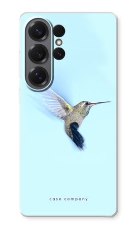 Hummingbird